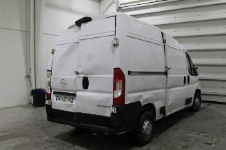 Opel Movano  picture 3
