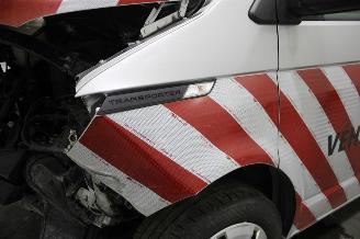 Volkswagen Transporter  picture 7