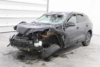 Damaged car Volkswagen Tiguan  2024/12