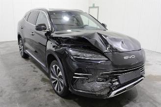 BYD Seal U  picture 2