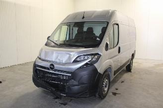 Coche accidentado Opel Movano  2025/9