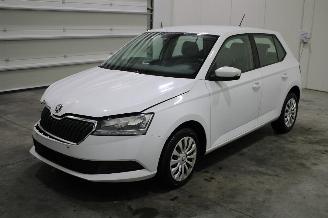 skadebil auto Skoda Fabia  2019/6