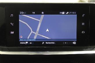 Peugeot 2008  picture 14