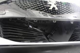 Peugeot 2008  picture 17