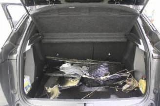Peugeot 2008  picture 18