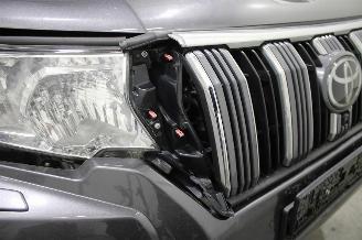 Toyota Landcruiser Land Cruiser picture 21