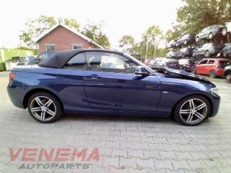 BMW 2-serie 2 serie (F23), Cabrio, 2014 / 2021 218i 1.5 TwinPower Turbo 12V picture 4