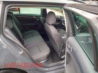 Volkswagen Golf Golf VII Variant (AUVV), Combi, 2013 / 2021 2.0 TDI 16V picture 15