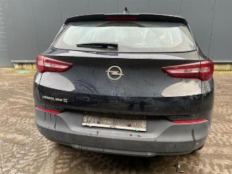 Opel Grandland Grandland (X), SUV, 2017 1.5 CDTI 130 picture 6