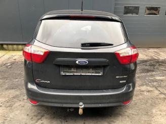 Ford C-Max C-Max (DXA), MPV, 2010 / 2019 1.6 TDCi 16V Van picture 14