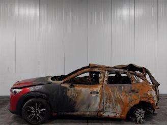 Mazda CX-3 CX-3 (DJ/DK), SUV, 2015 1.5 Skyactiv D 105 16V picture 5