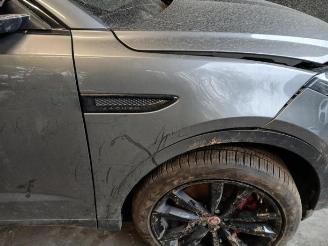 Jaguar E-Pace E-Pace, SUV, 2017 2.0 D 150 16V picture 7