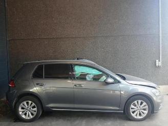 Volkswagen Golf Golf VII (AUA), Hatchback, 2012 / 2021 1.6 TDI BMT 16V picture 5