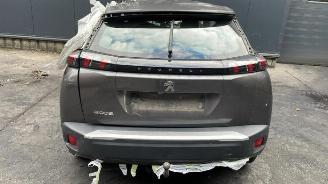 Peugeot 2008 2008 (UD/UK/UR/US/UX), MPV, 2019 1.5 BlueHDi 110 picture 5