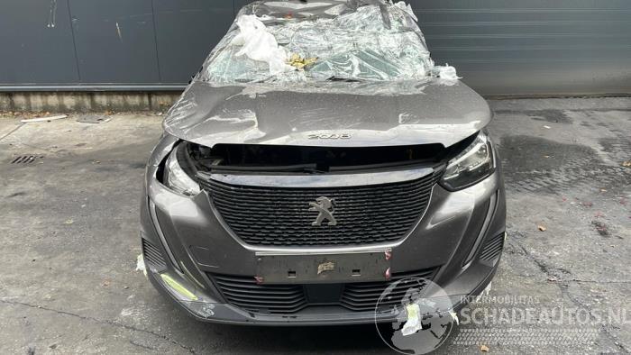 Peugeot 2008 2008 (UD/UK/UR/US/UX), MPV, 2019 1.5 BlueHDi 110