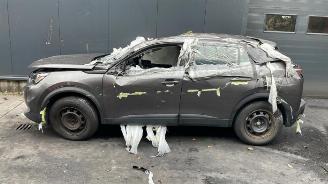 Peugeot 2008 2008 (UD/UK/UR/US/UX), MPV, 2019 1.5 BlueHDi 110 picture 2