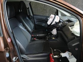 Ford EcoSport EcoSport (JK8), SUV, 2013 / 2022 1.0 EcoBoost 12V 125 picture 21
