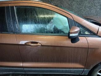 Ford EcoSport EcoSport (JK8), SUV, 2013 / 2022 1.0 EcoBoost 12V 125 picture 17