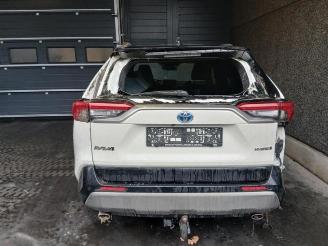 Toyota Rav-4 RAV4 (A5), Terreinwagen, 2018 2.5 Hybrid 16V picture 10