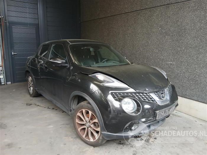Nissan Juke Juke (F15), SUV, 2010 / 2019 1.2 DIG-T 16V