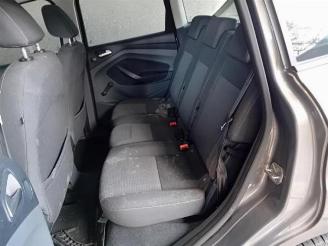 Ford C-Max C-Max (DXA), MPV, 2010 / 2019 2.0 TDCi 16V 115 picture 18