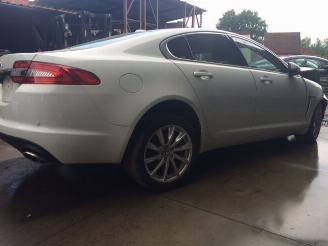 Coche siniestrado Jaguar XF  2013/1