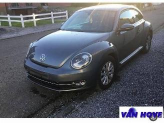 Volkswagen Beetle DESIGN picture 10