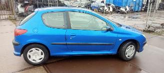 Peugeot 206  picture 5