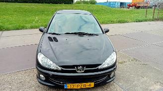 Peugeot 206  picture 1