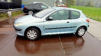 Peugeot 206  picture 2
