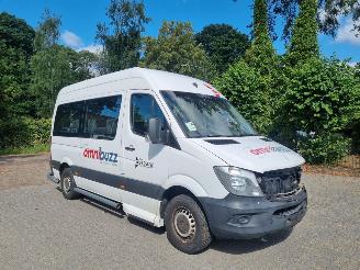Voiture accidenté Mercedes Sprinter 314 CDI Aut 9 Stoelen + Rolstoellift 2017/11