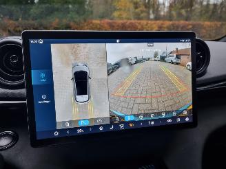 BYD Dolphin 60.4 kWh Pano Led Navi Camera picture 16