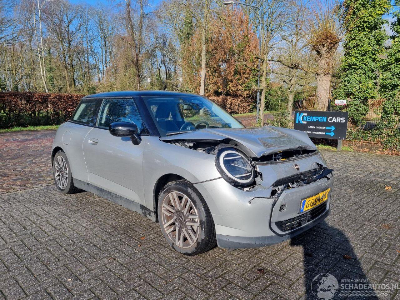 Mini Cooper E 40.7KW Navi Stoelver Led