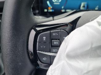 Ford Puma 1.0 Ecob Hybr Aut. Navi Stoelverw. picture 19