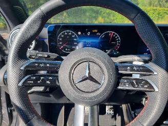 Mercedes A-klasse 250e AMG Line Pano Navi Sfeerverl. picture 18
