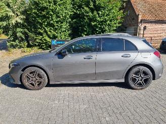 Mercedes A-klasse 250e AMG Line Pano Navi Sfeerverl. picture 2
