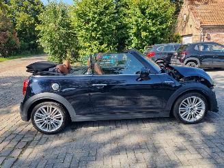 Mini Cooper S Cabrio Aut Navi Led Stoelverw picture 3