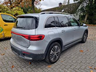 Mercedes EQB 250+ Pano Led Stoelverw. picture 5