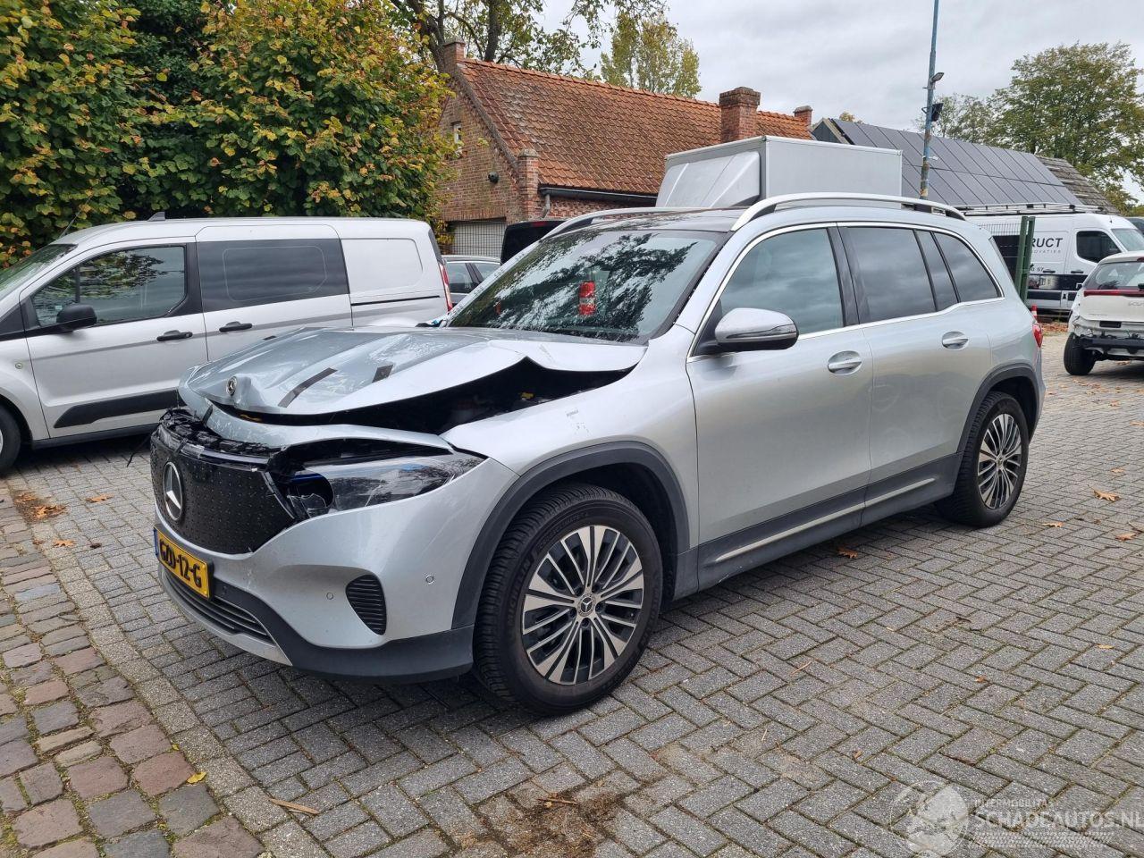 Mercedes EQB 250+ Pano Led Stoelverw.