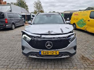 Mercedes EQB 250+ Pano Led Stoelverw. picture 8