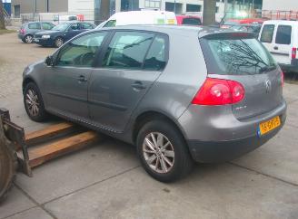 Volkswagen Golf  picture 6