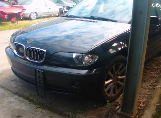 BMW 3-serie 318i 16v picture 2