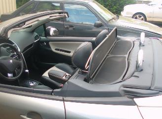 Peugeot 207 cc roland garros picture 11