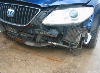 Seat Exeo  picture 4