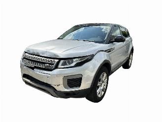 Coche accidentado Land Rover Range Rover Evoque 2.0 HSE AUTOMAAT FACELIFT CAMERA 2016/8