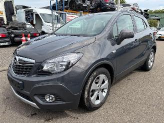 Opel Mokka  picture 1