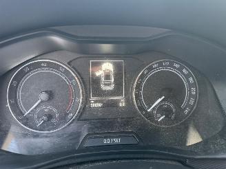 Skoda Kamiq 1.0 TSI 110PK DSG7 Style picture 21