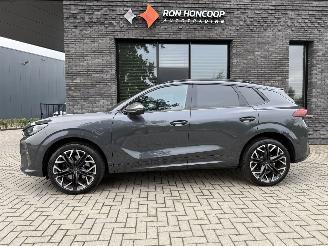Damaged car Cupra Terramar NEW! 2.0 TSI 4Drive 265PK DSG Performance 2026/6