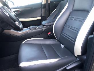 Lexus NX NX300 AWD picture 9