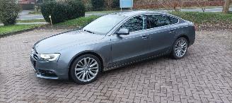 Audi A5 A5 Sportback 2.0-TDi Automaat Navi Bi-xenon&Led Led-Achterlichten Climatecontrol CruiseControl Stoelverwarming Lichtautomaat Regensensor Trekhaak Parkeersensoren 18-inch Audi velgen picture 2